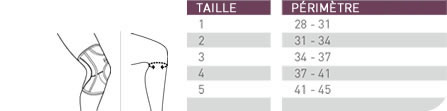 taille genouillere push care